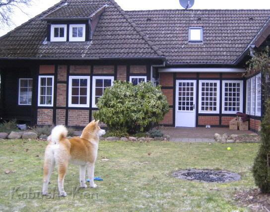 Eichi neues Haus Feb2011a.JPG - Eichi ist stolz auf ihr neues Zuhause